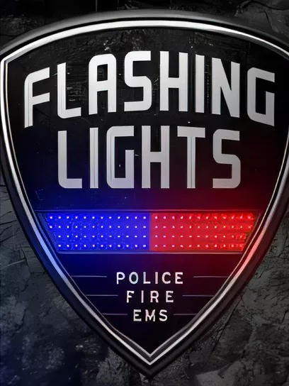 消防模拟/Flashing Lights - Police Fire EMS